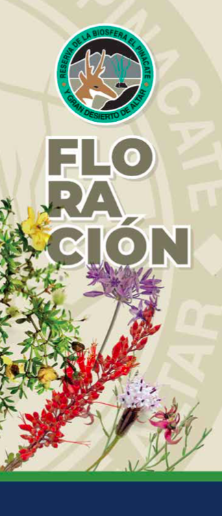Captura-de-Pantalla-2022-10-09-a-las-13.56.15